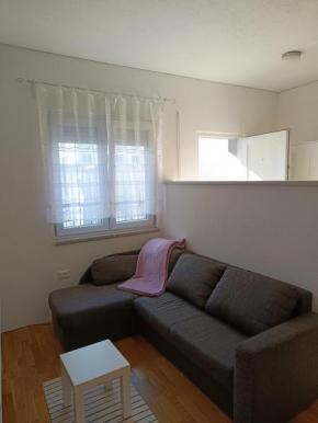 apartma pika 2